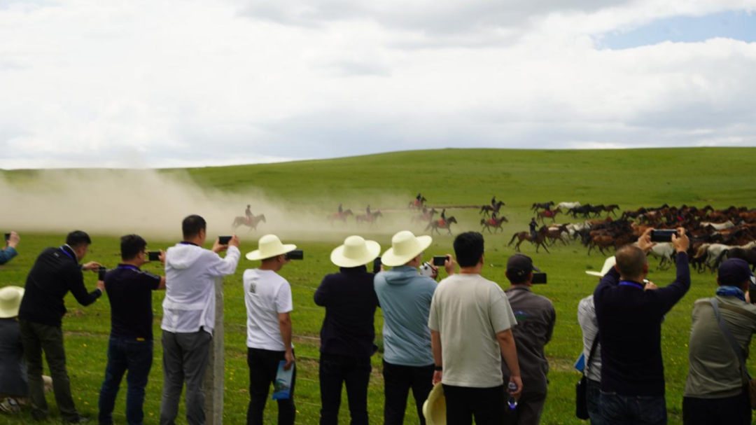 202207011656661363131285.png 4.png