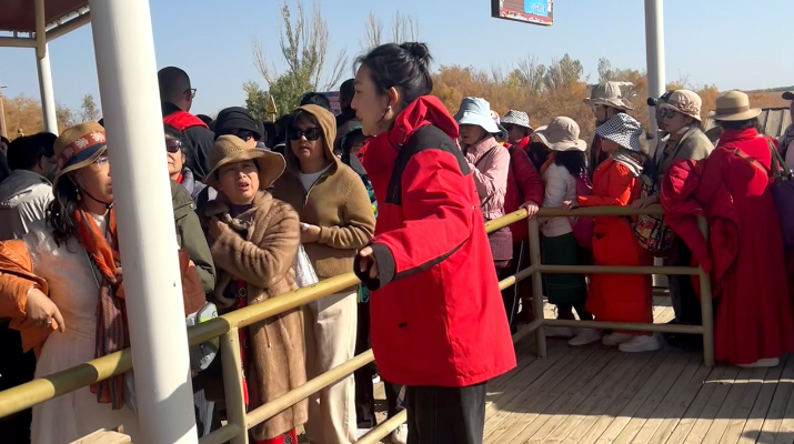 202410171729125230720265.png 图片4_副本.png