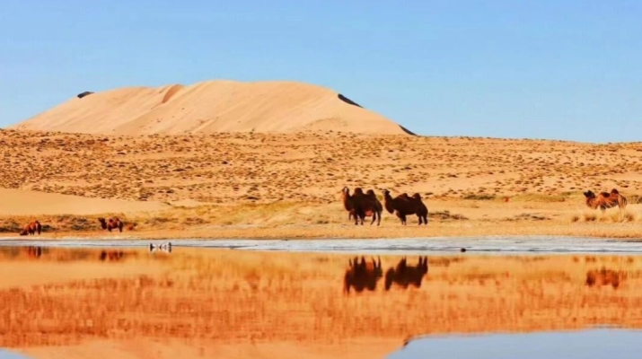 202505051746460045224023.jpg 微信图片_20250505234657.jpg