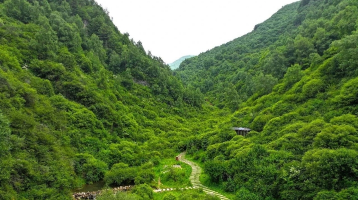 202507211753057679106998.jpg 微信图片_2025-07-21_082644_714.jpg