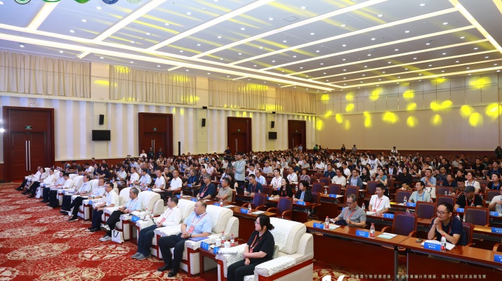 202508191755585630941621.jpg 9P6A6541(1).JPG