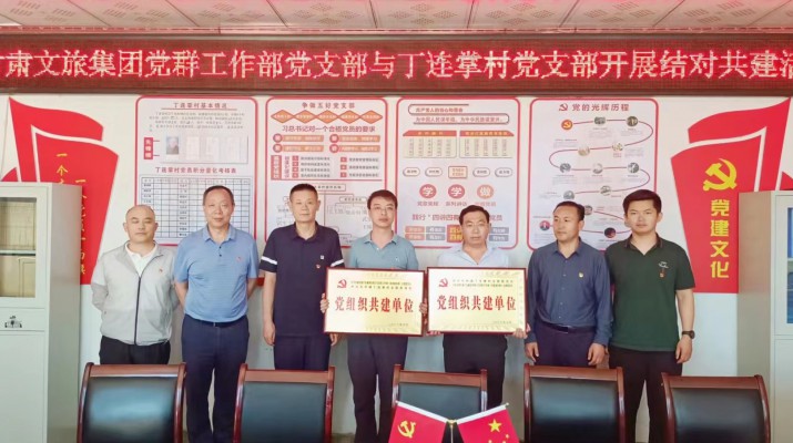 jiuyou登录入口集团党支部与帮扶村党支部结对共建助力乡村振兴