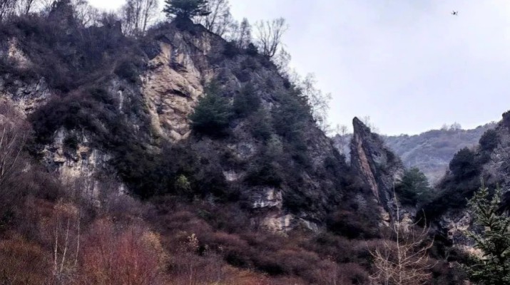 享游渭河源丨渭河源鸟鼠山惊现一只卧鸟